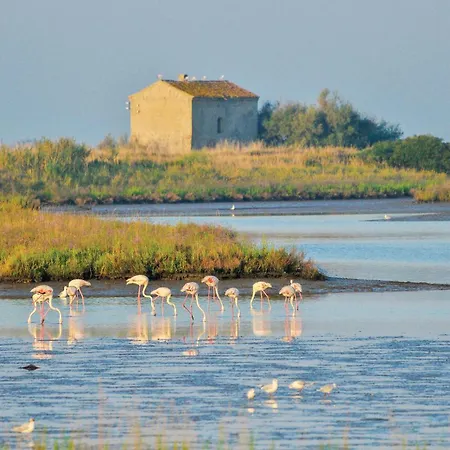 Marina 2 Апартаменты *