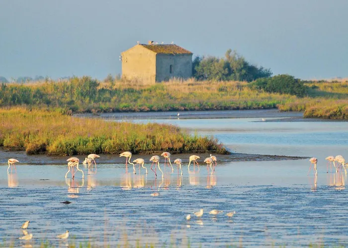 Marina 2 Apartmán *